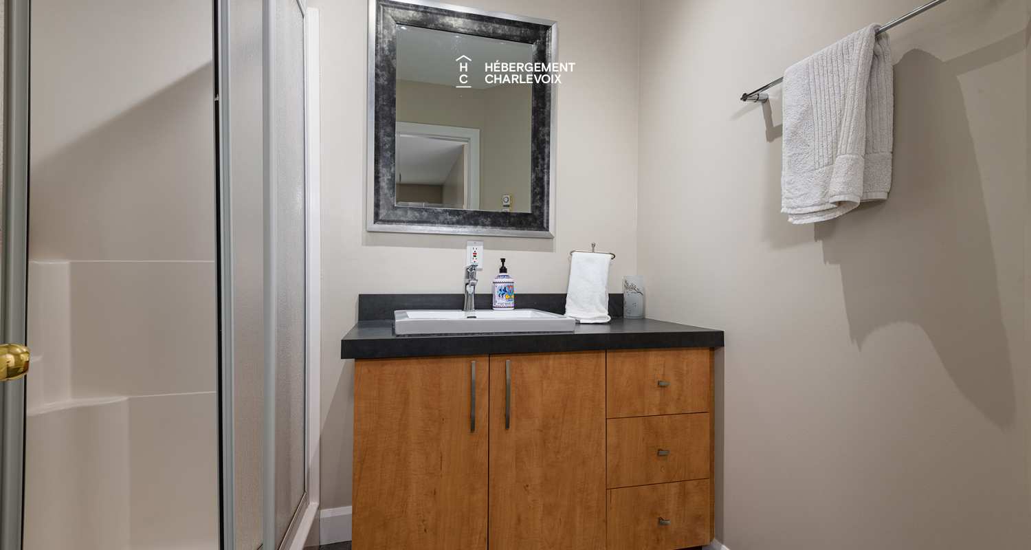 VER-1 ( haut) - Moments for relaxation in front of the stone fireplace